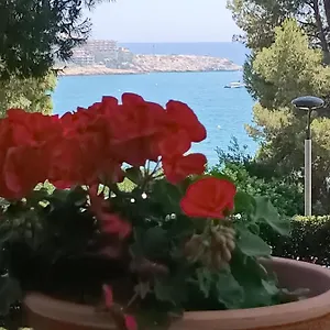 & Flowers Free Parking , Salou España